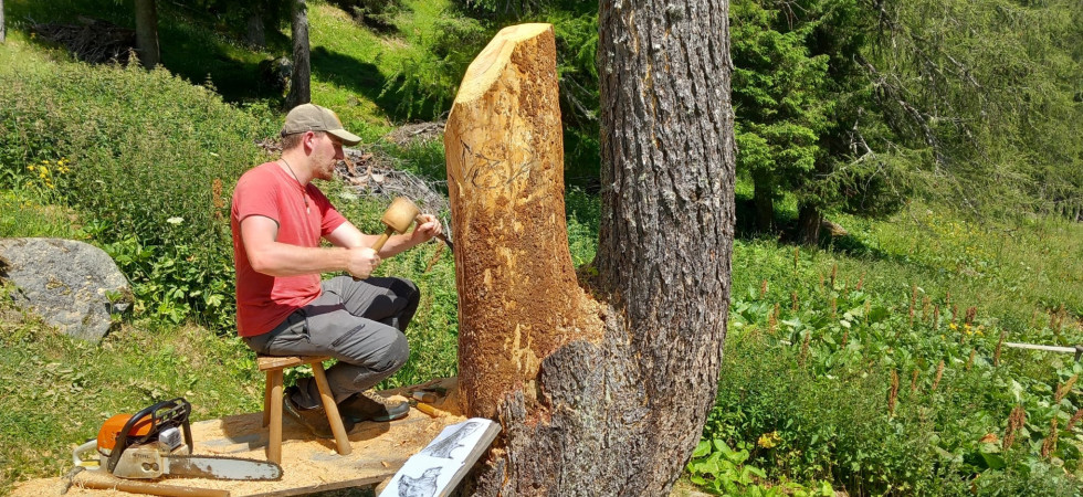 All'Oasi Wwf di Valtrigona quattro nuove sculture di Alberto Boschetti realizzate con il legno abbattuto dalla tempesta Vaia